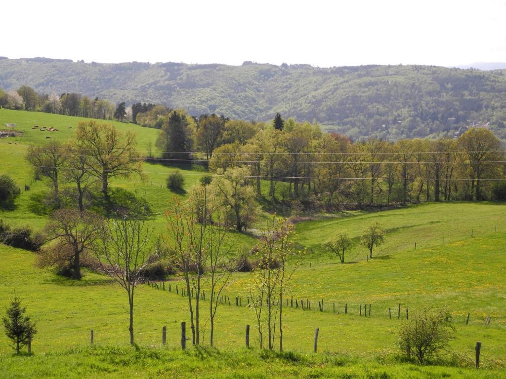 Homestay Roche-la-Molière 65327