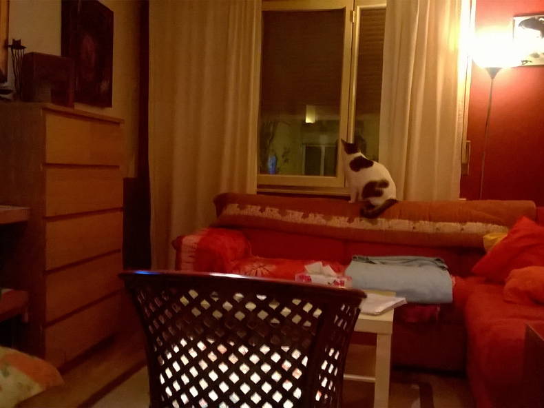 Chambre Chez L'habitant Lausanne 126049-2