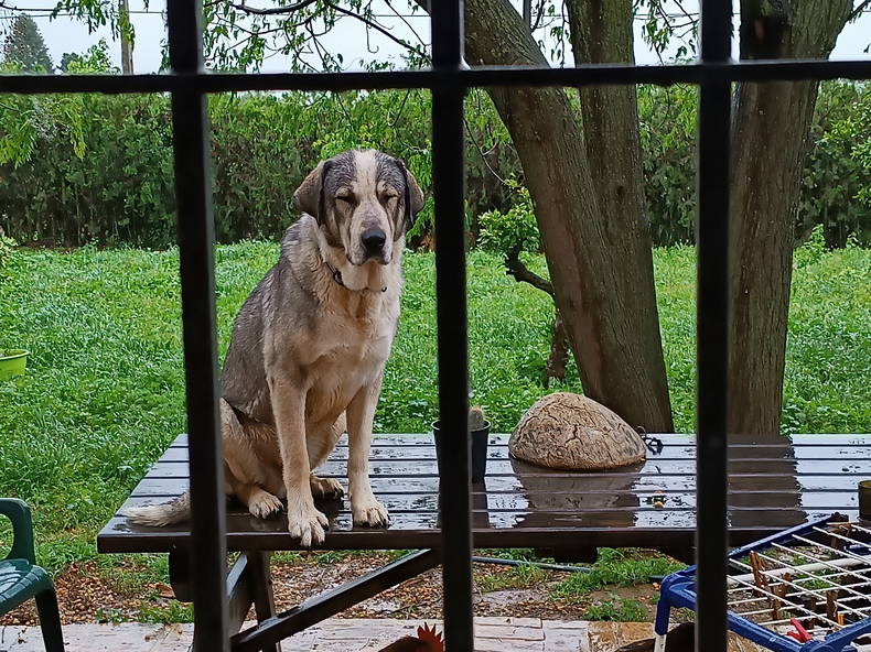 Casa Inteira Villanueva del Ariscal 174807-1