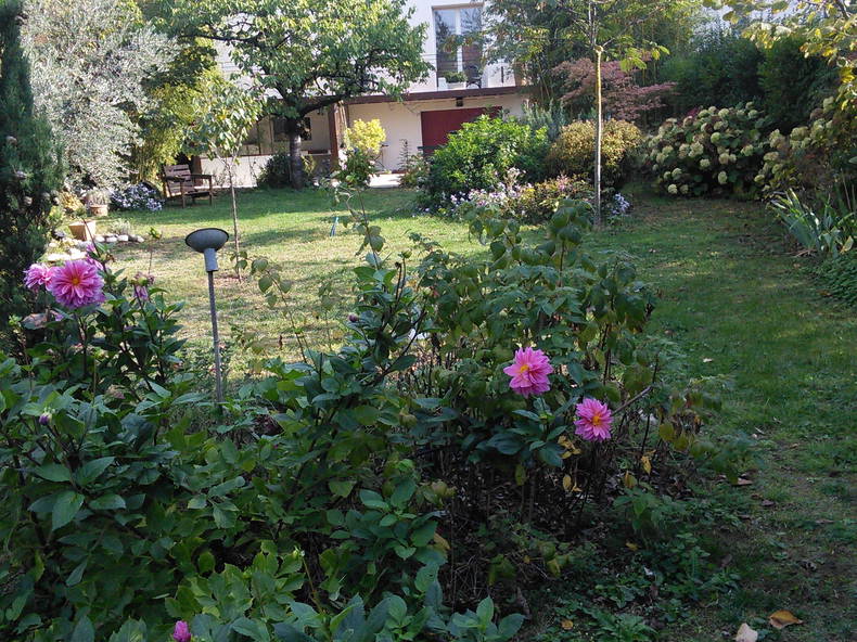 Homestay Lyon 118516-5