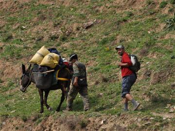 Chambre Chez L'habitant Marrakech 148731-4