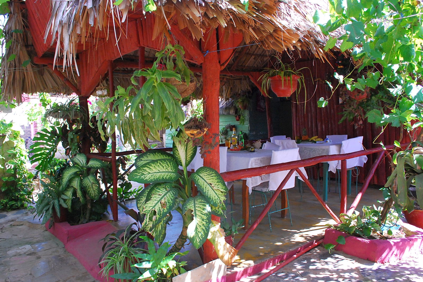 Gastfamilie Viñales 227020