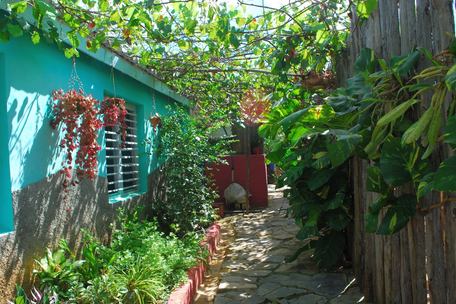 Gastfamilie Viñales 227020