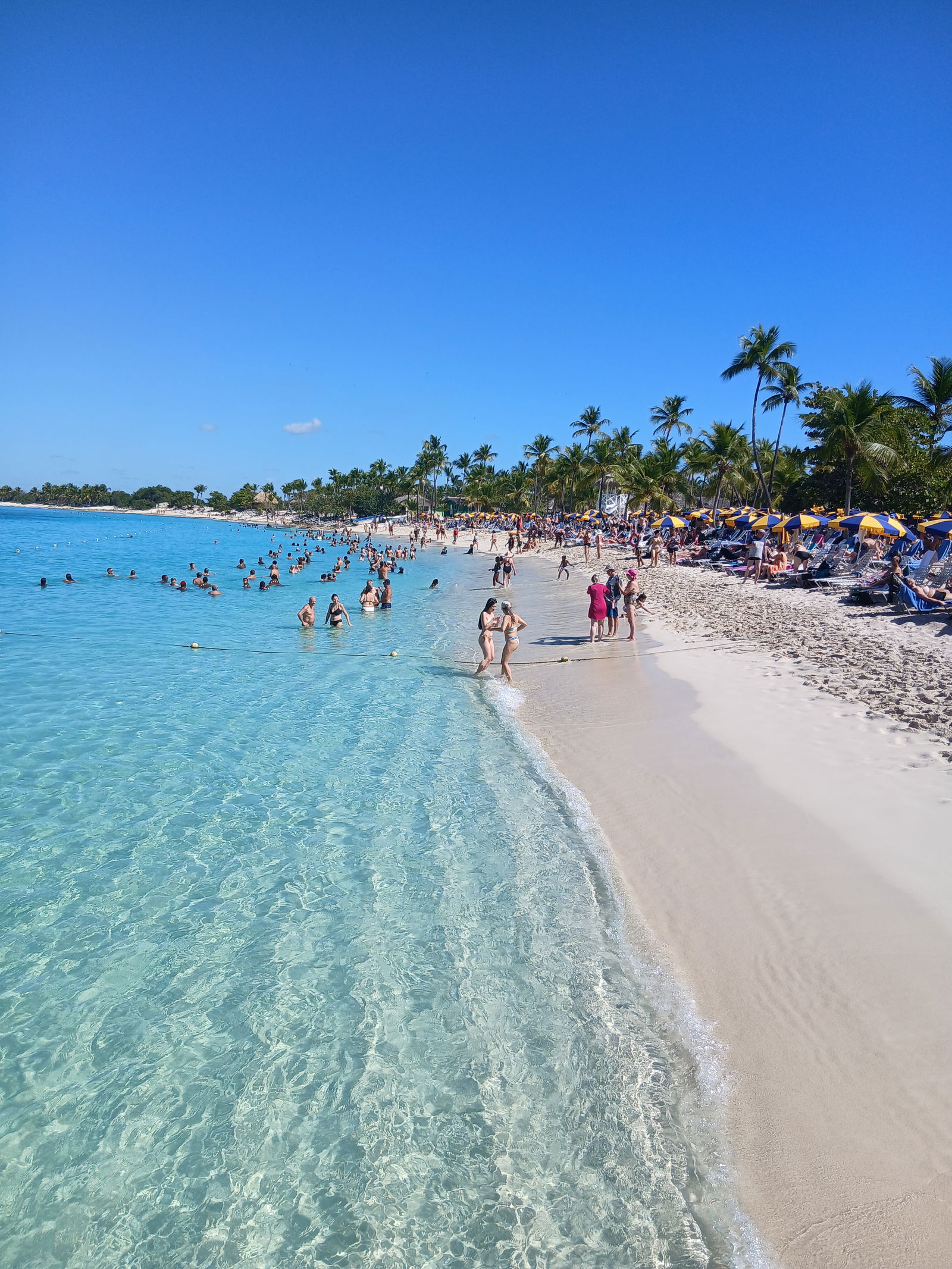 Ganzes Haus Punta Cana 660464