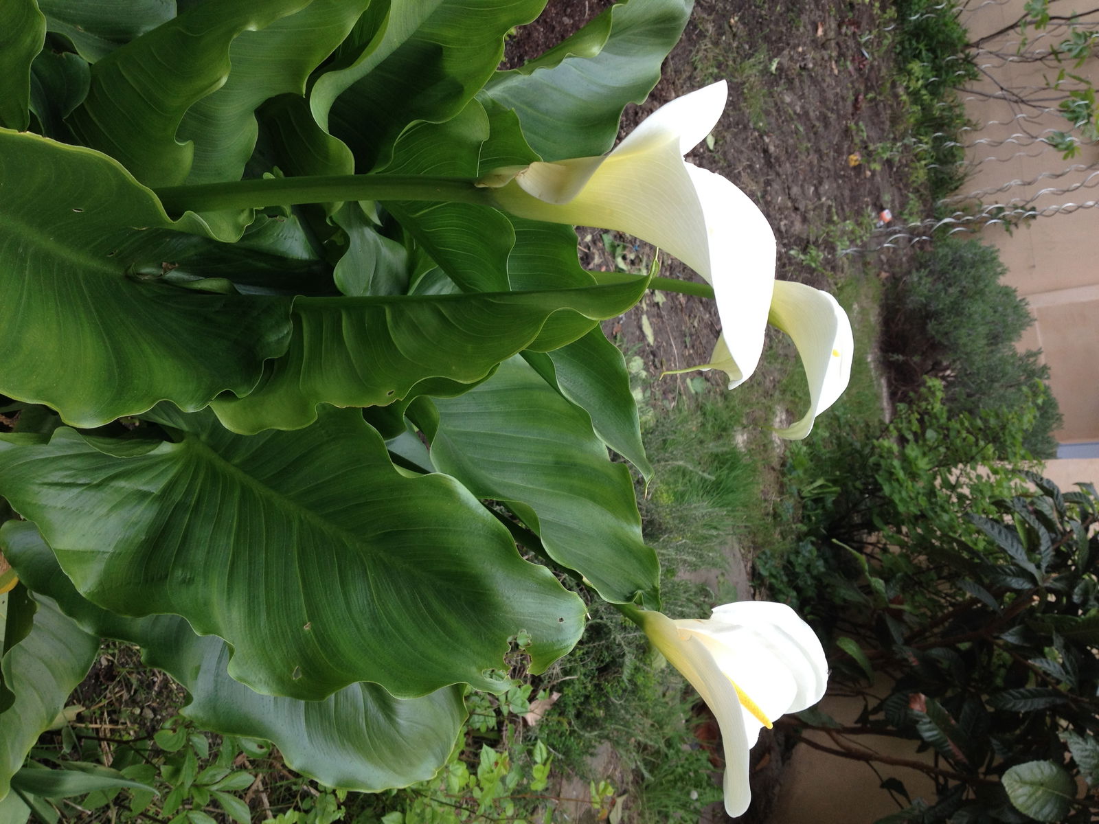 Gastfamilie Lyon 158426