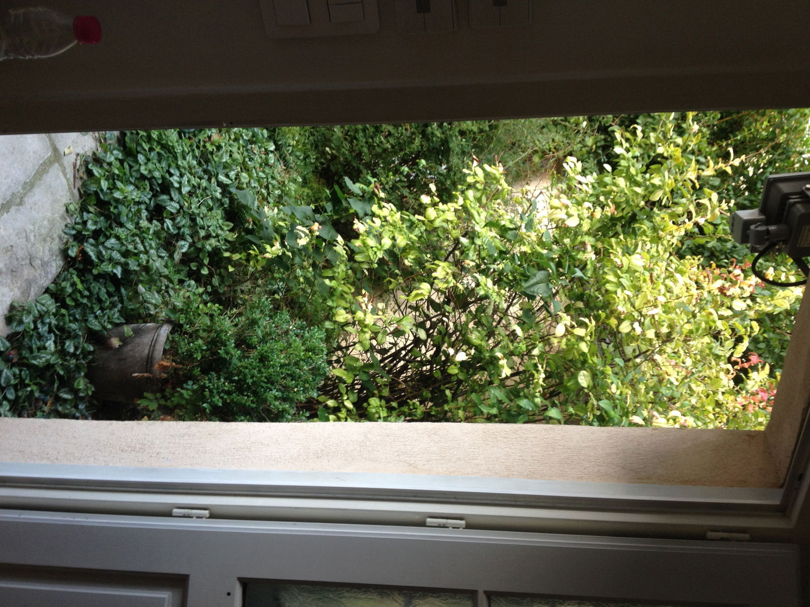 Homestay Lyon 158426