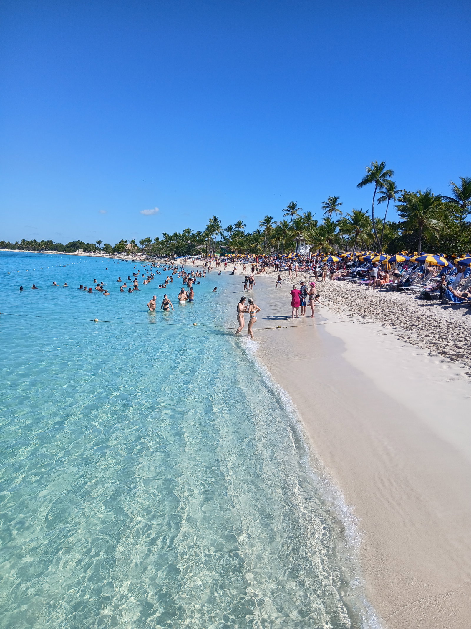 Gehele Woning Punta Cana 660464