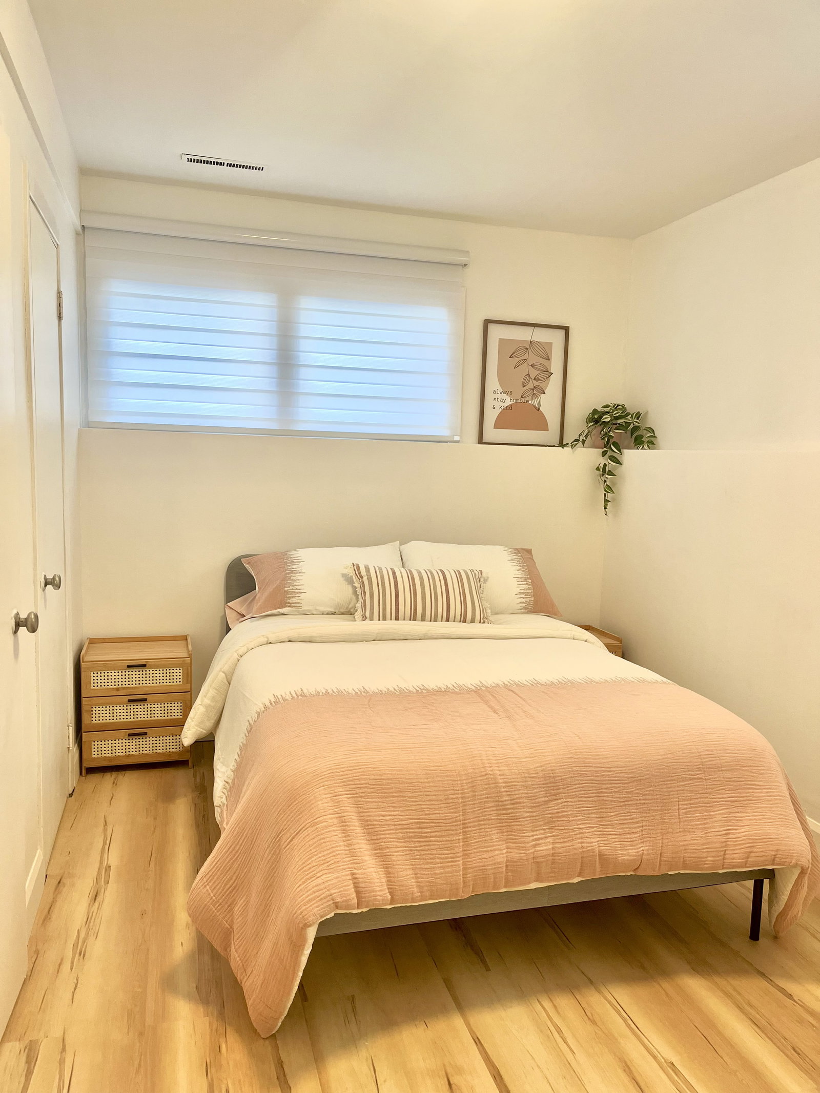 Kolokasie Saguenay 660762