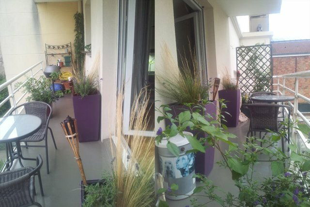 Colocation Villejuif 18105