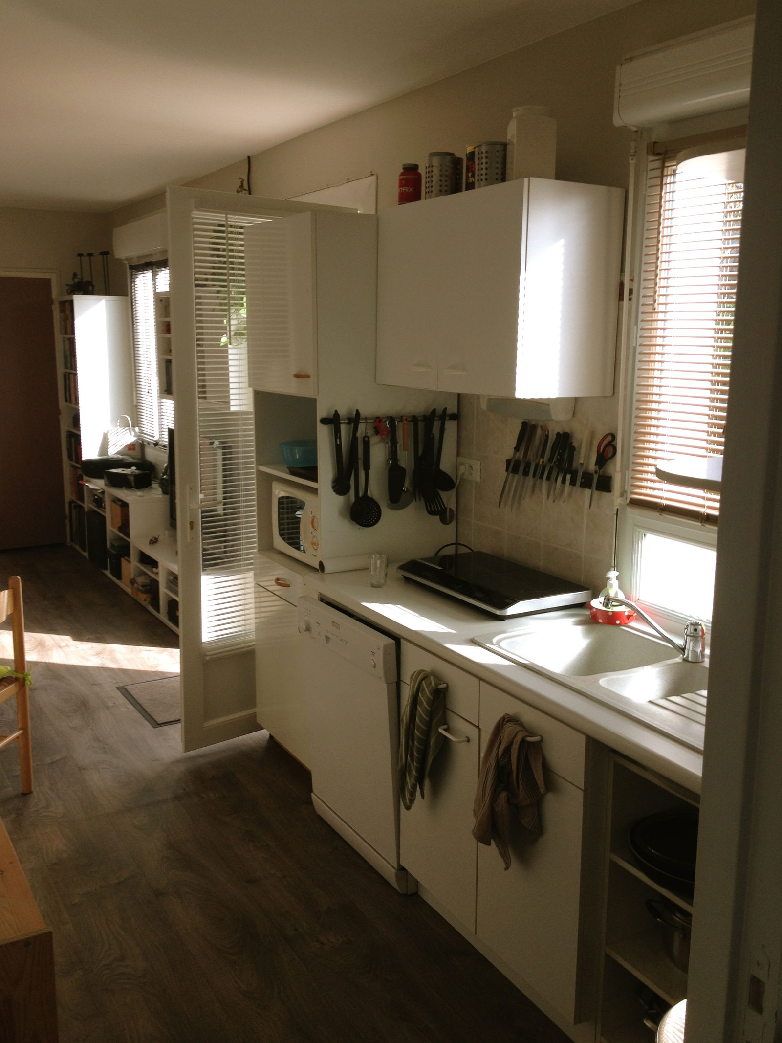 Colocation Toulouse 174127