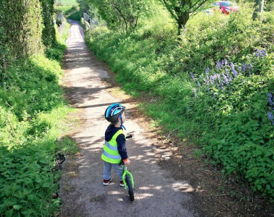 Hjemmeophold Long Ashton 234296