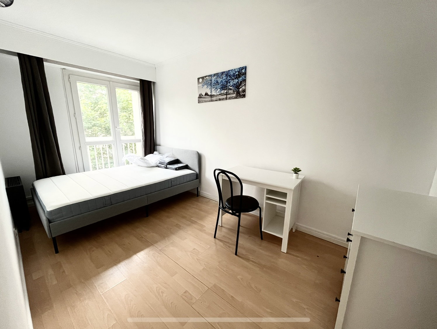 Colocation Cergy 501142