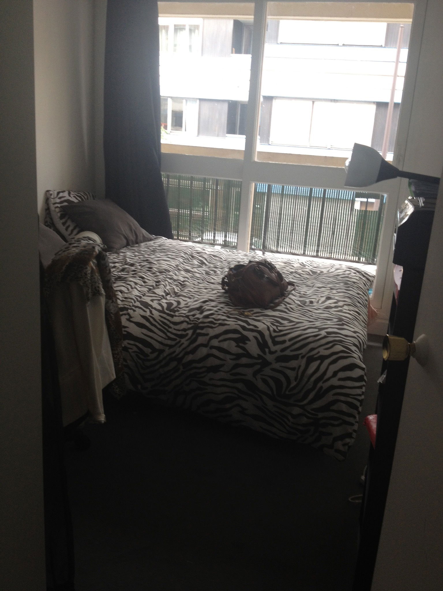 Colocation Paris 141860