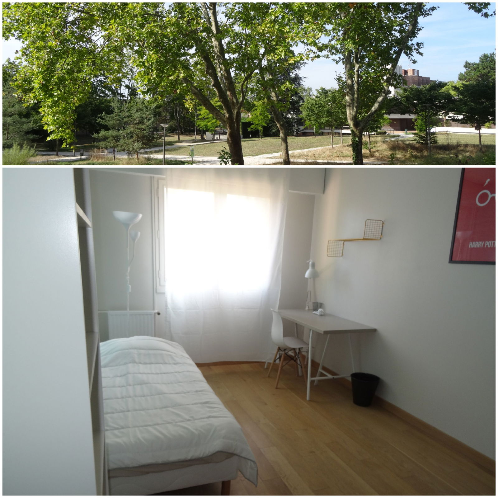 Colocation Cergy 552764