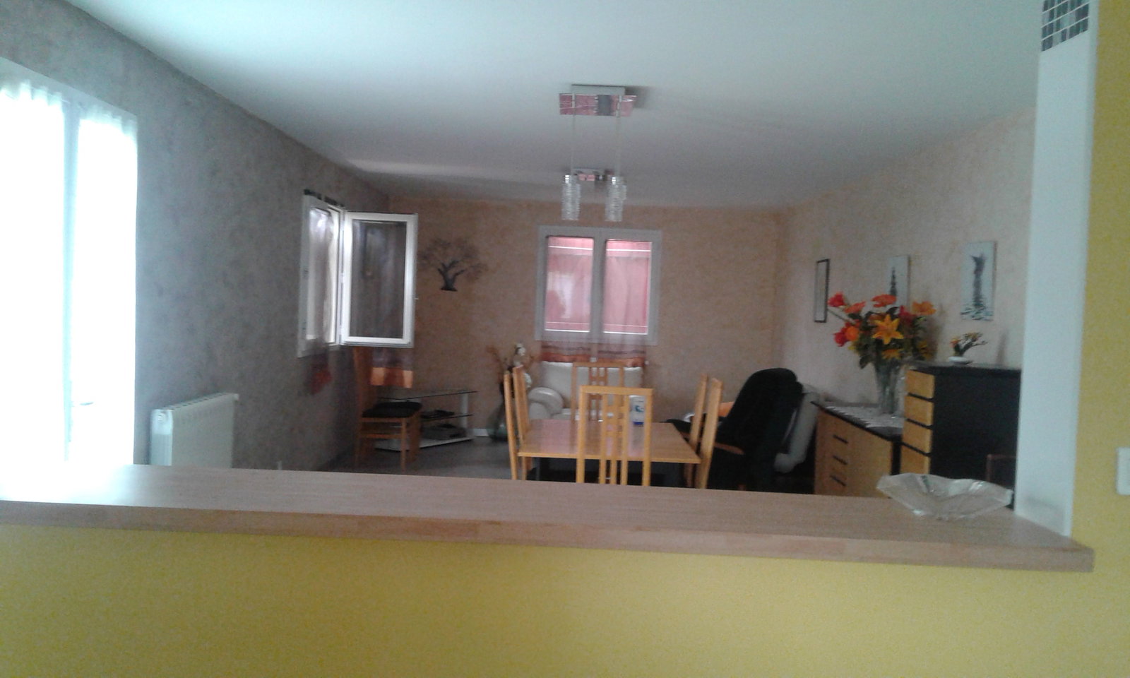 Colocation Blagnac 248875