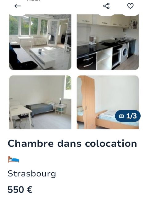 Colocation Strasbourg 344441