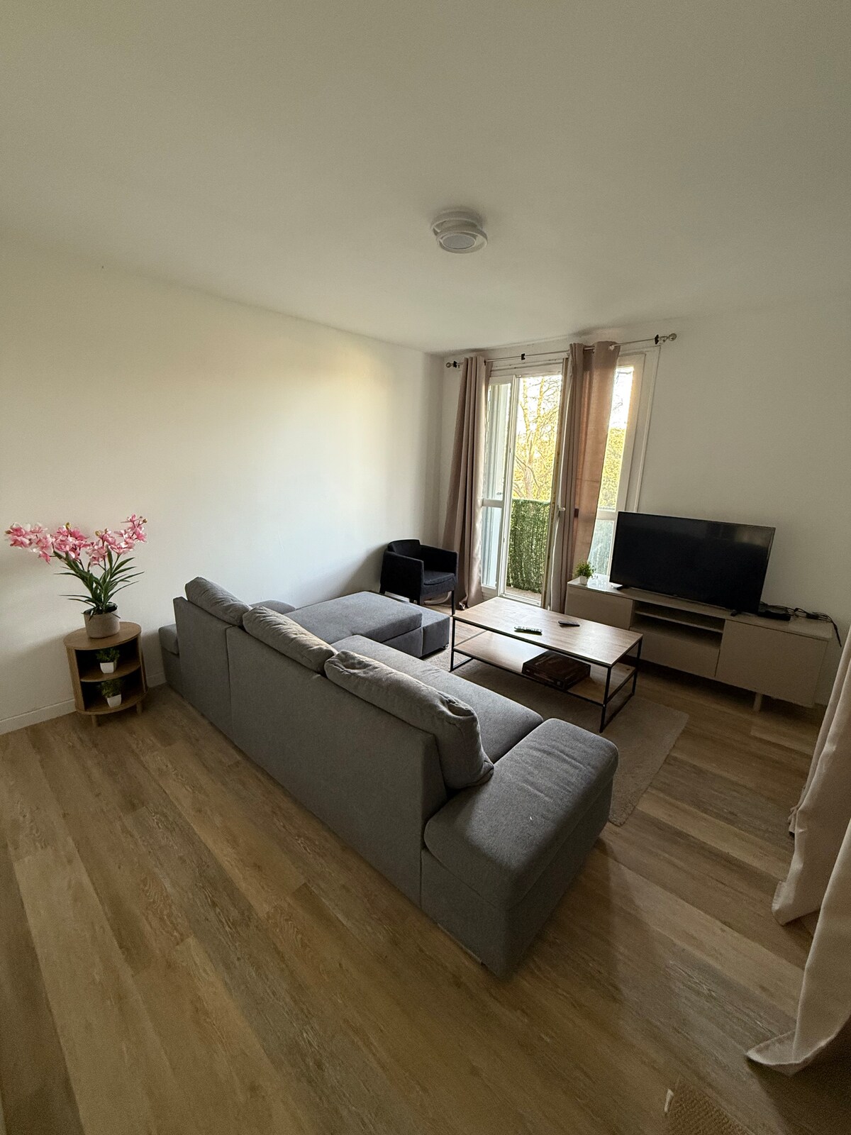 Colocation Toulouse 663882