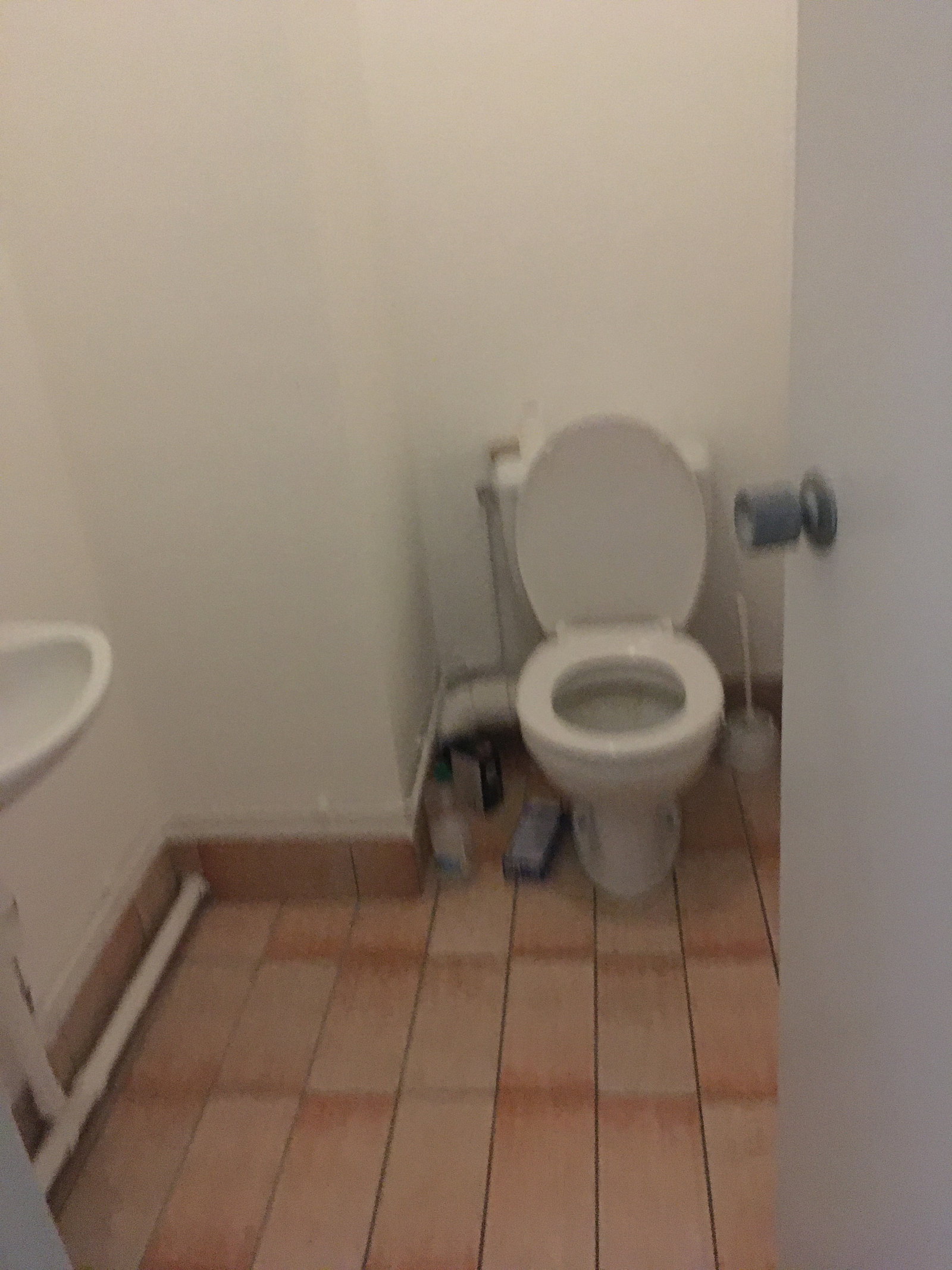 Colocation Angers 258032