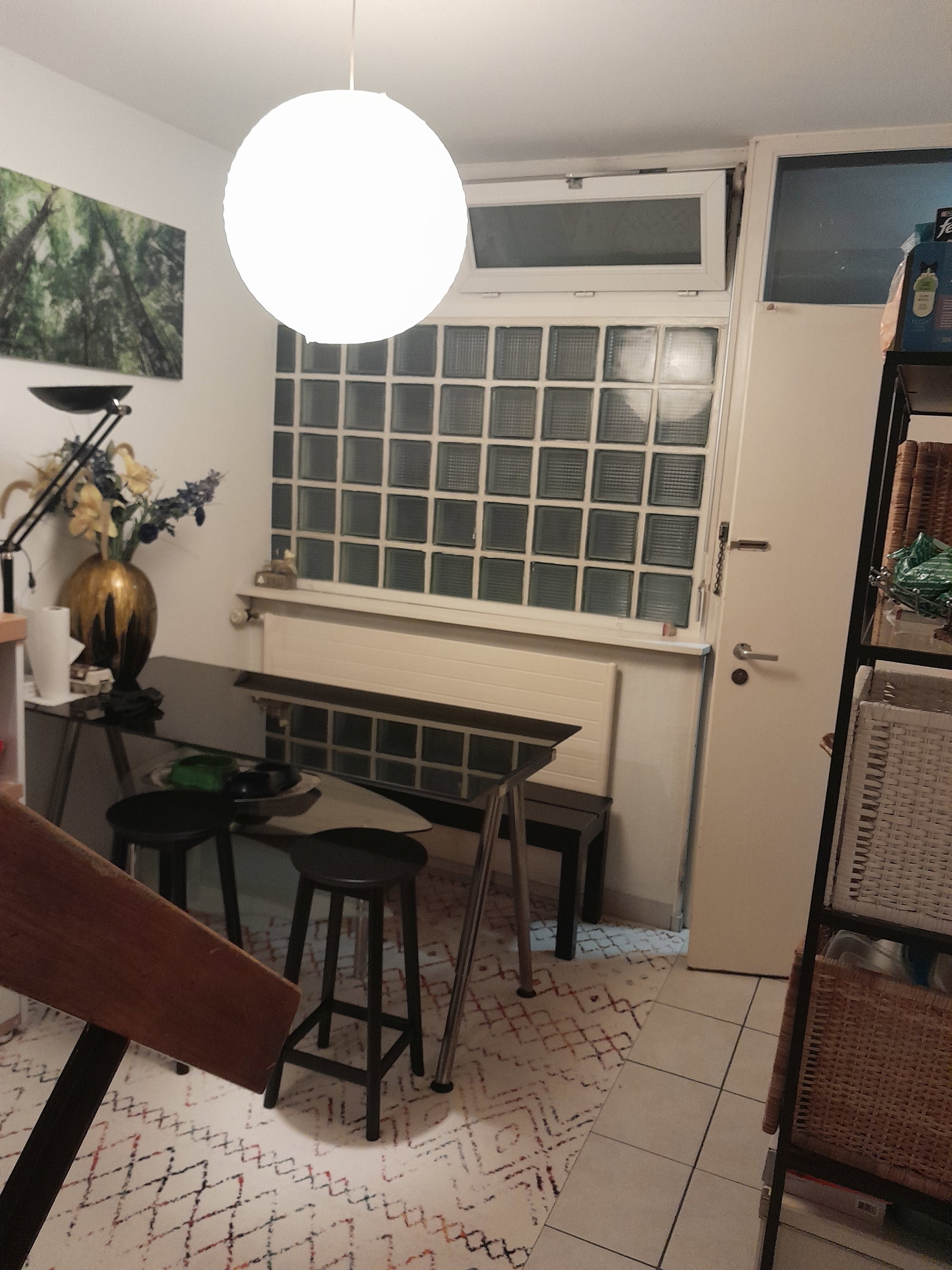 Colocation Carouge 636330