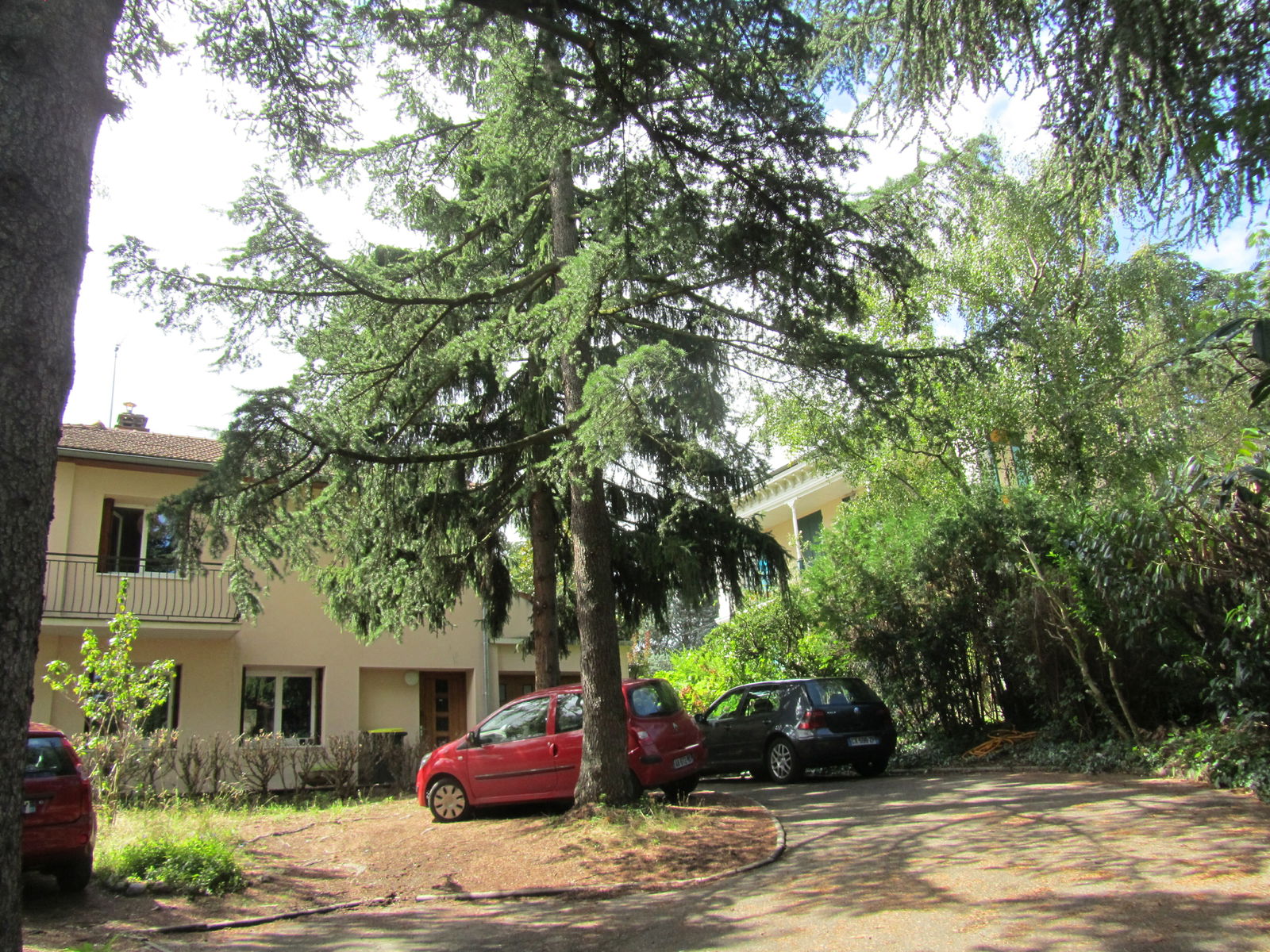 Colocation Oullins 145927