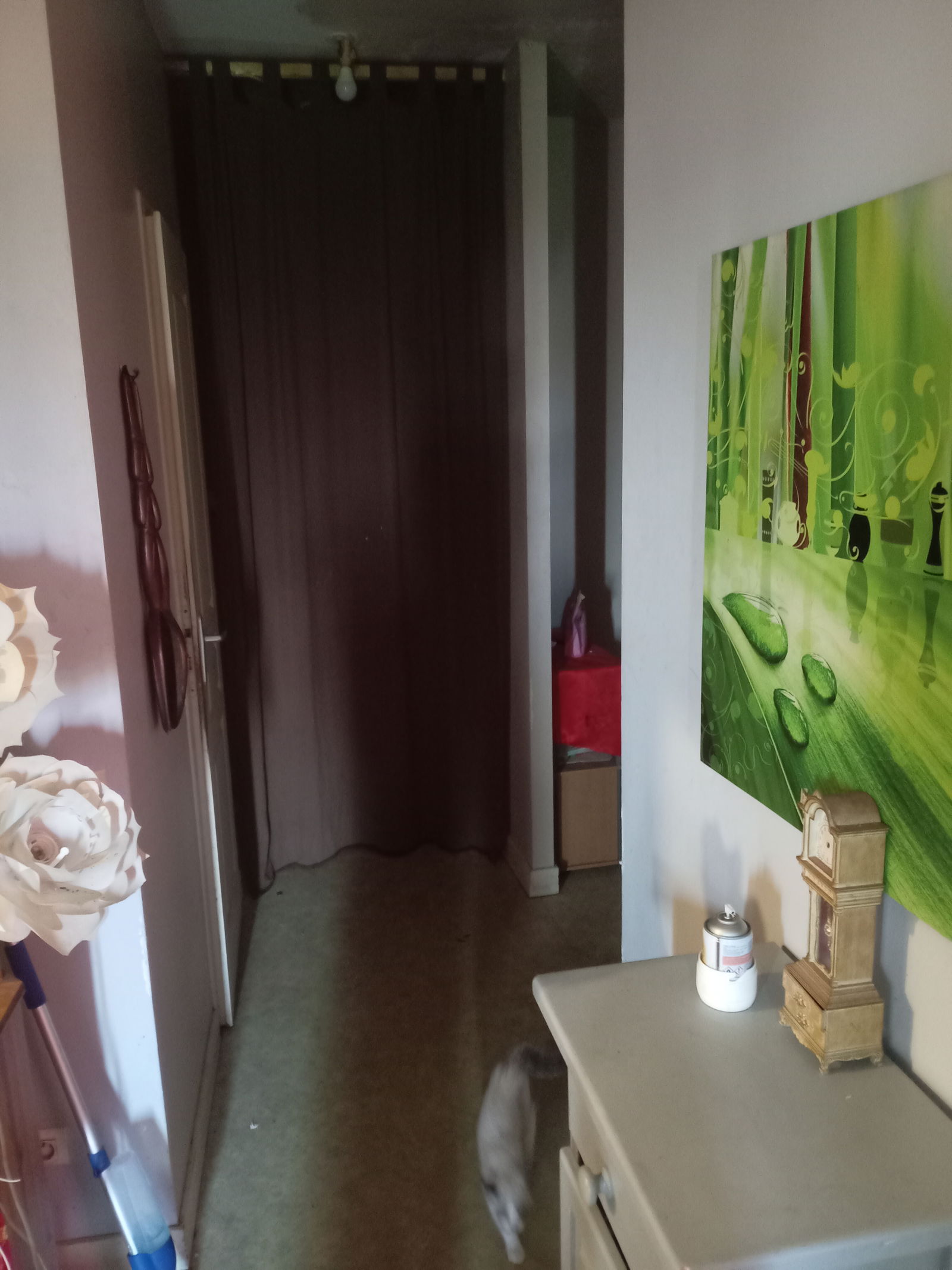 Colocation Saint-Jean-d'Angély 529964