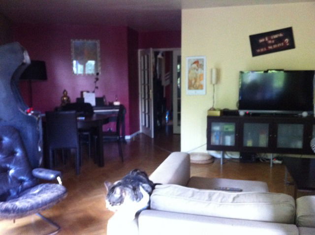 Colocation Paris 23026