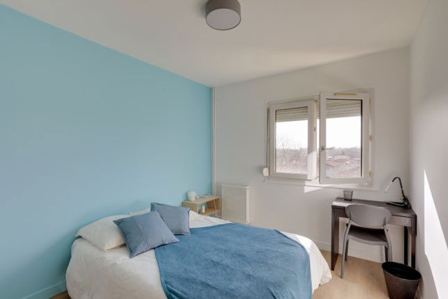 Colocation Villeurbanne 471500
