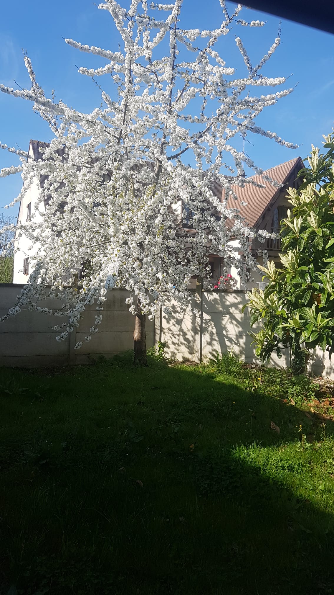 Colocation Vaires-sur-Marne 464430