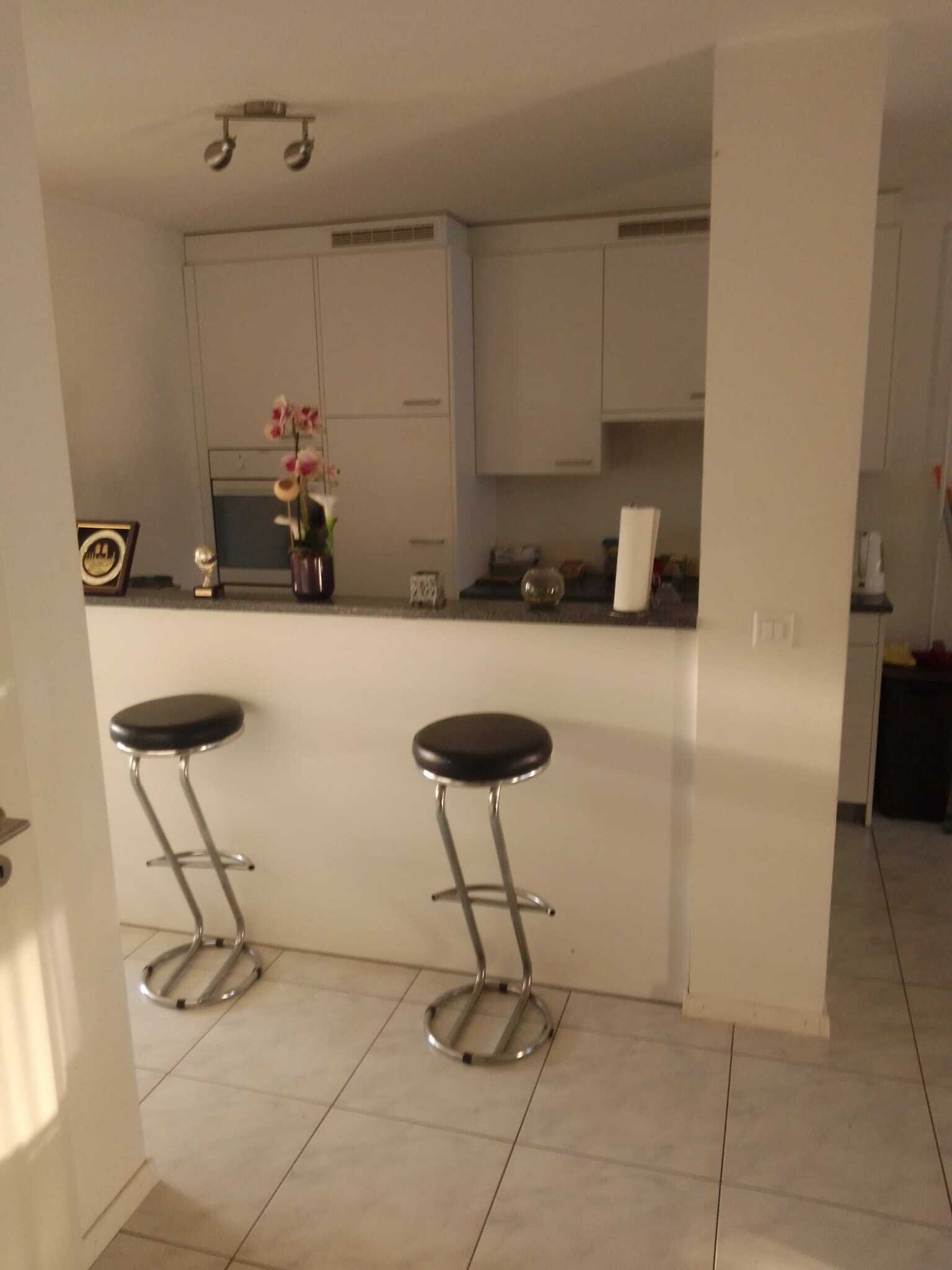 Colocation Berne 233719