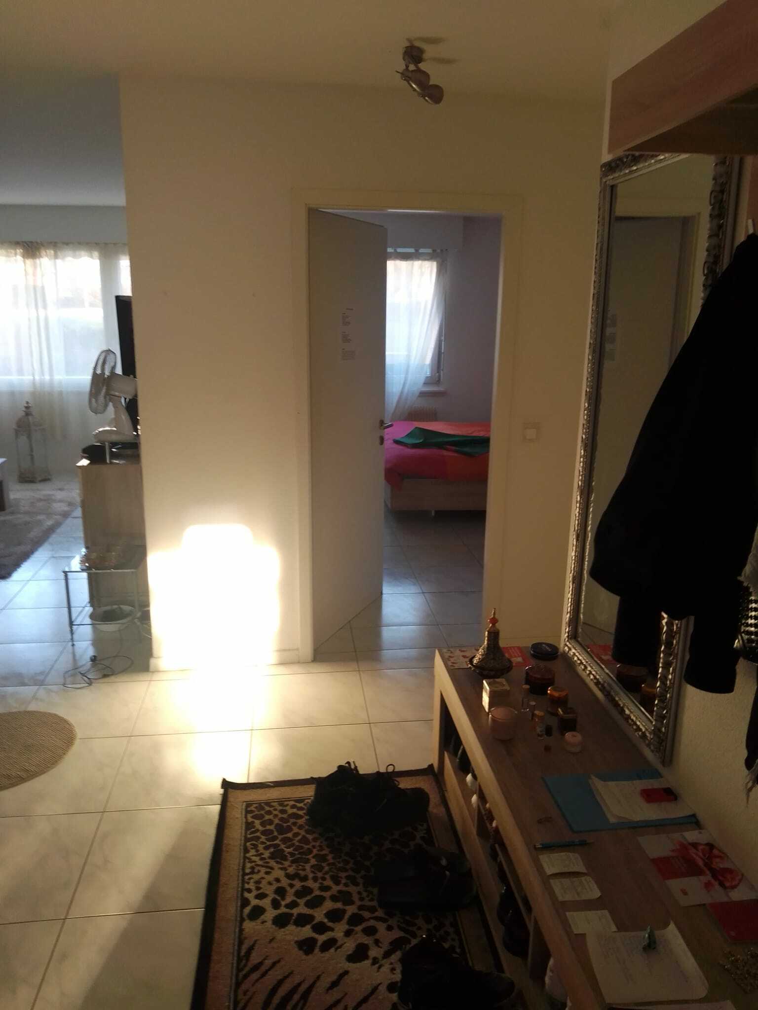 Colocation Berne 233719