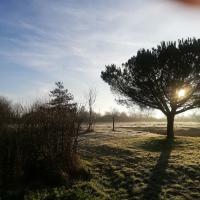Hemvistelse Mouchamps 252595