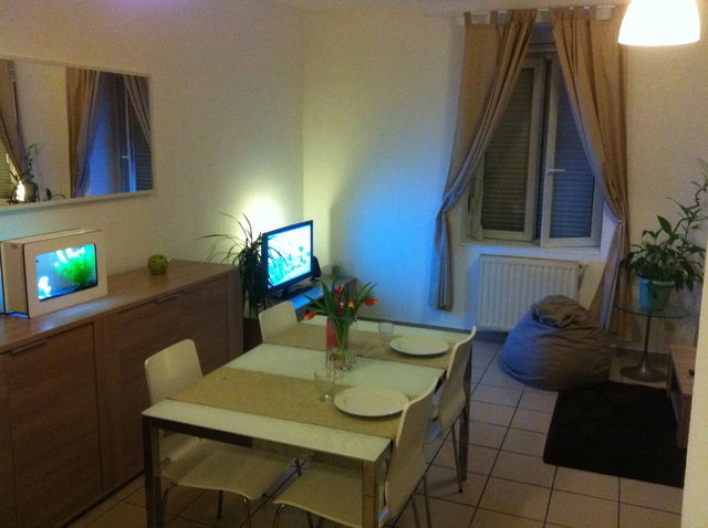 Colocation Lyon 53436