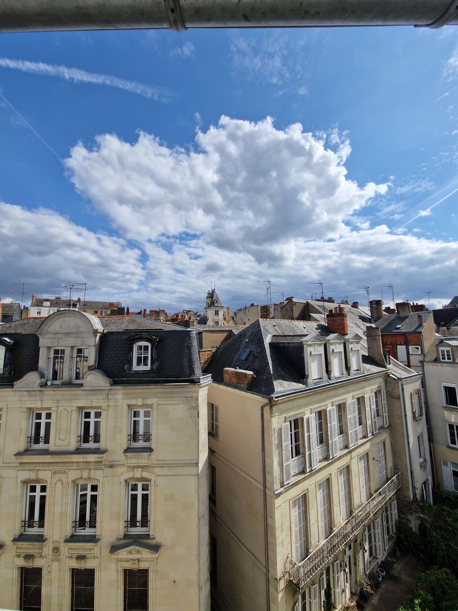 Colocation Angers 442330