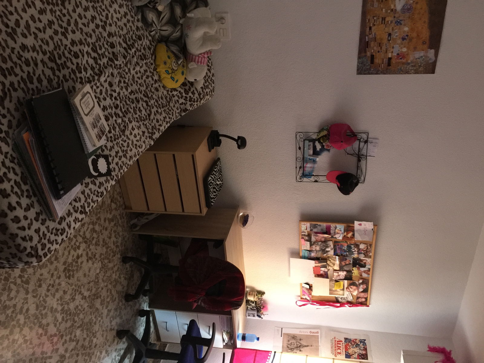 Colocation Granada 136682