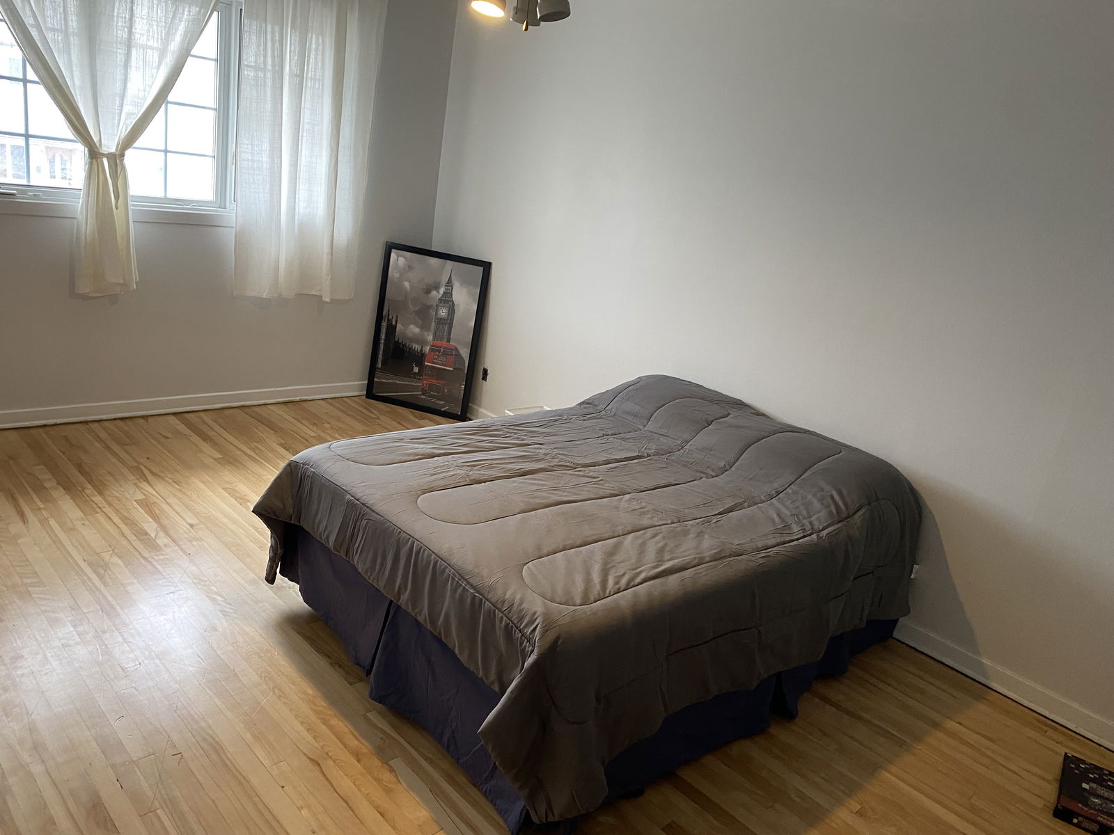 Colocation Montréal 543027