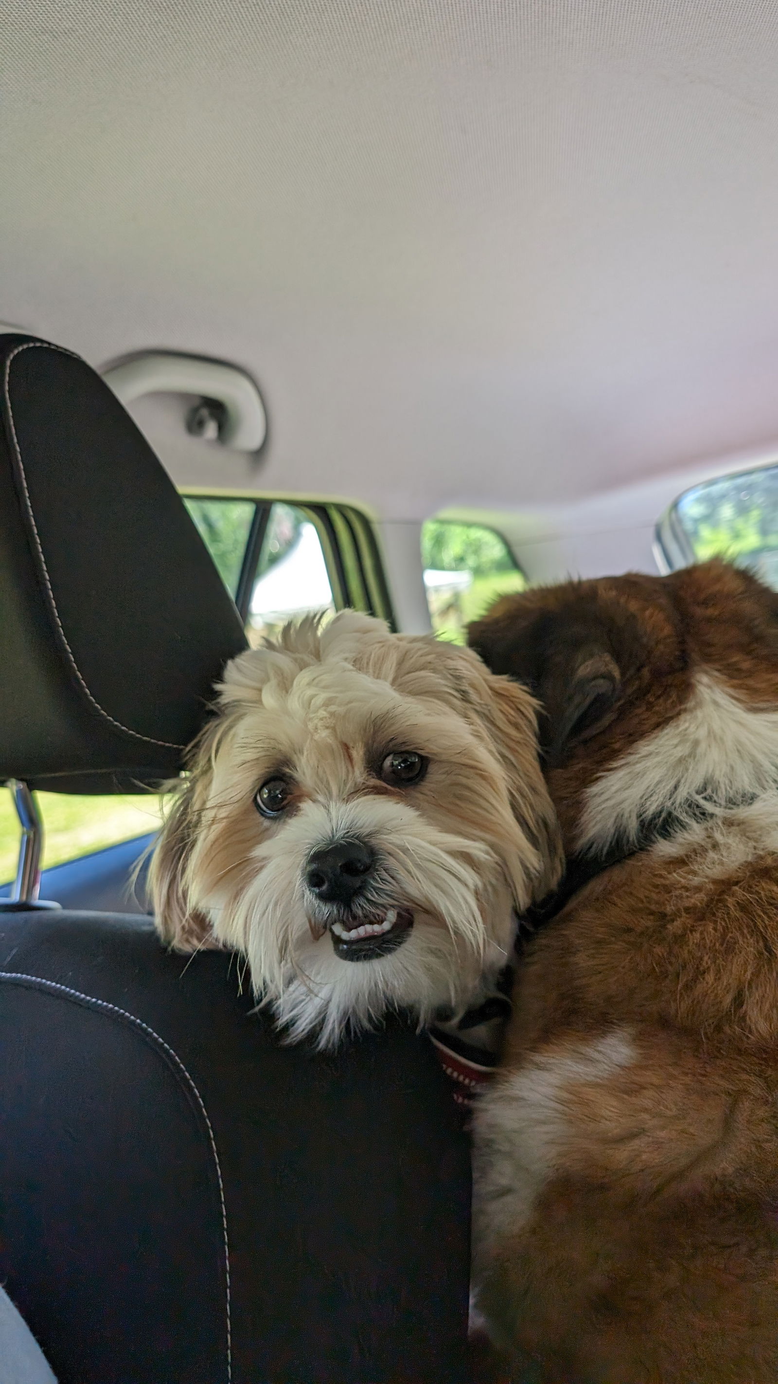 Hjemmeophold Courtételle 377973