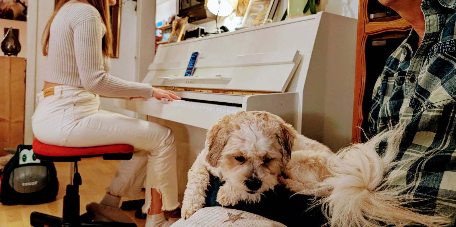 Hjemmeophold Courtételle 377973