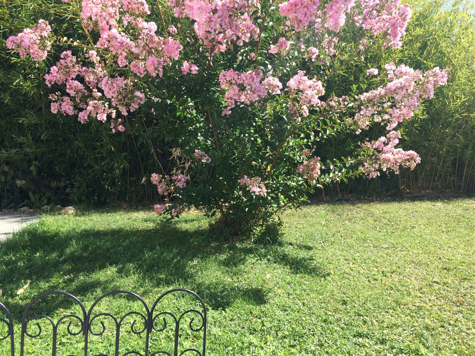Hemvistelse Saint-Cyr-sur-Loire 144557