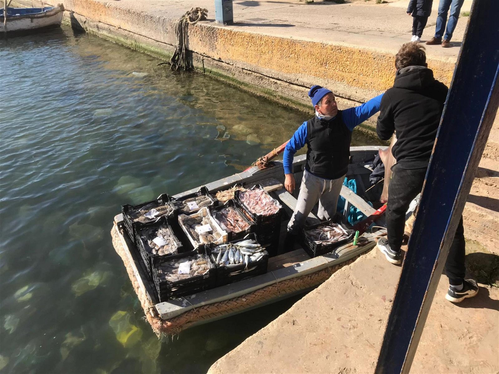 Itsenäinen Studio Libero consorzio comunale di Ragusa 245584