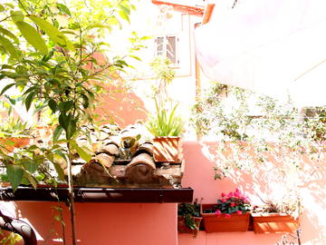 Toda La Casa Roma 131925-6