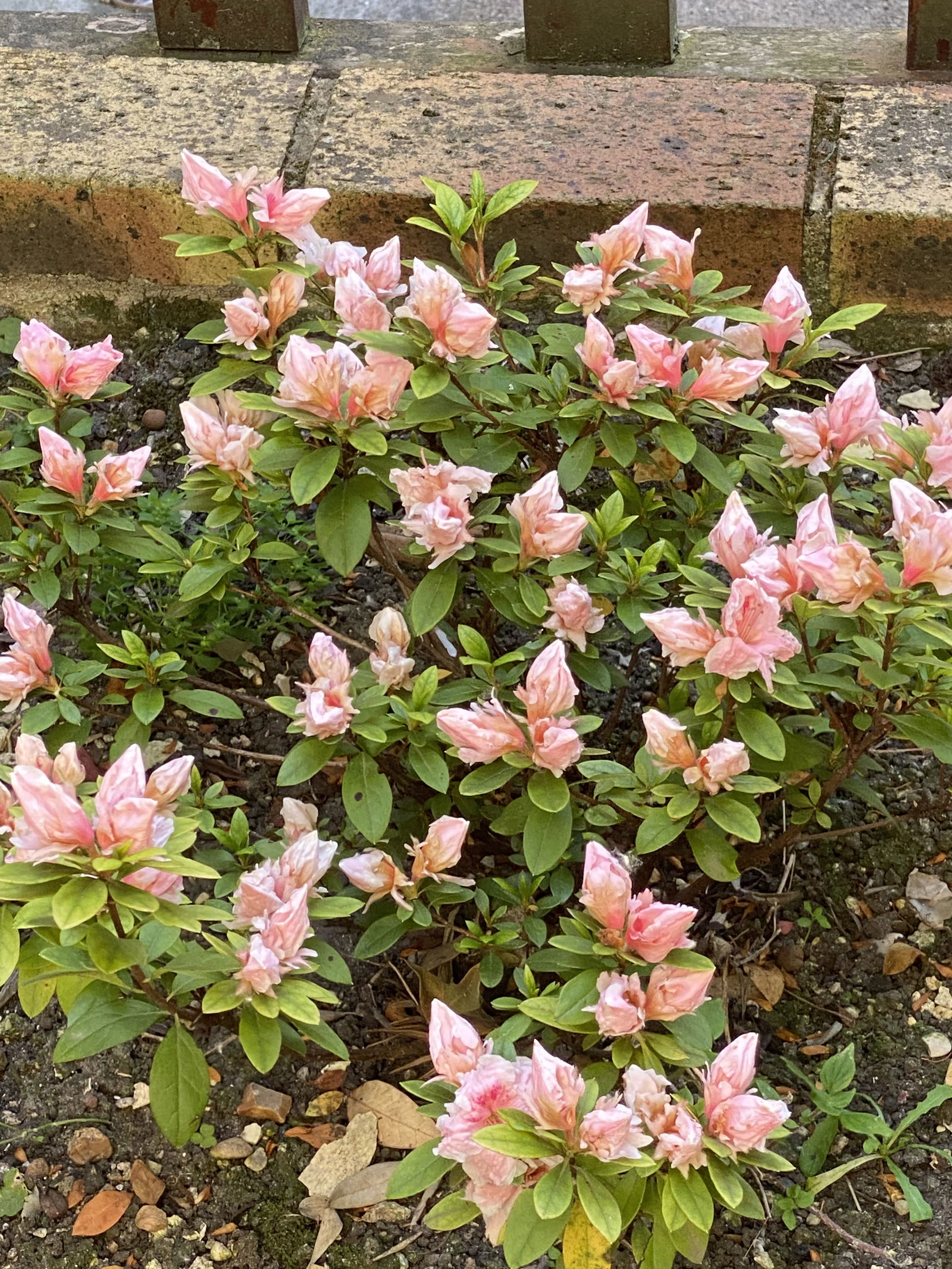 Monolocale Indipendente Gennevilliers 246240