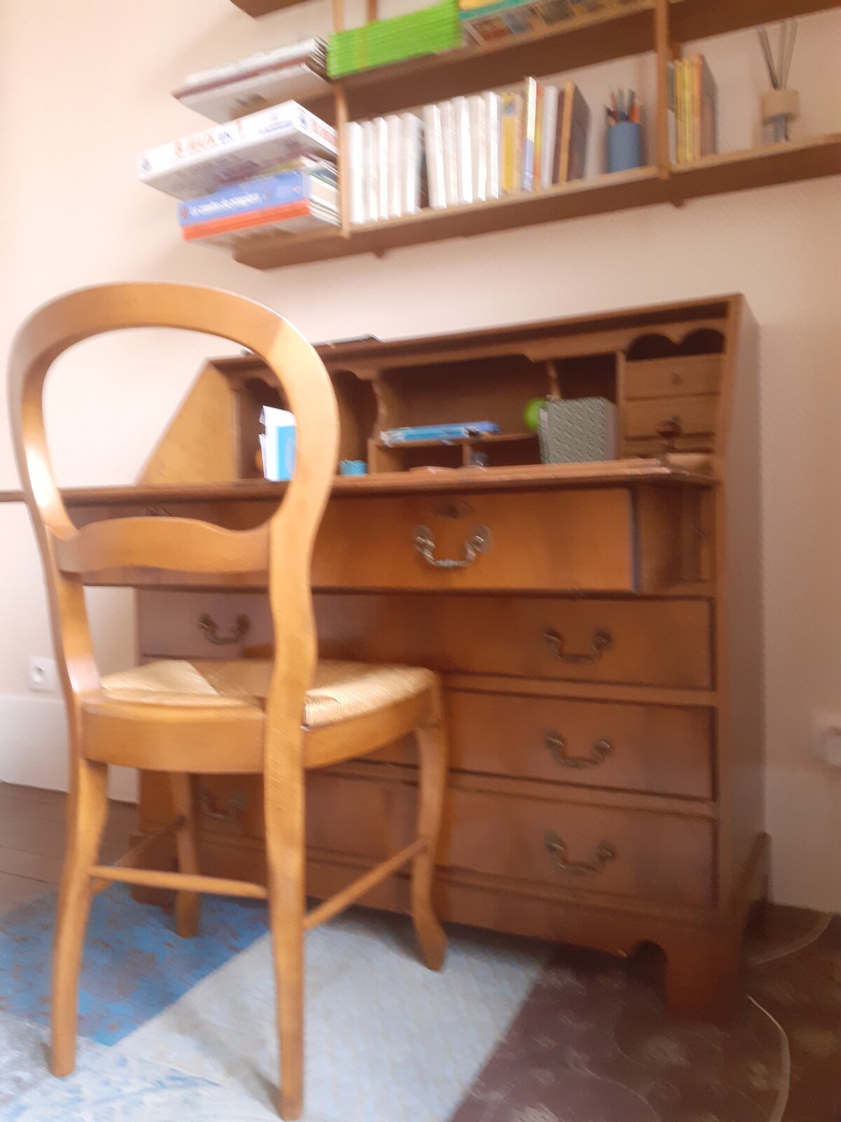 Chambre Chez L'habitant Le Bourget 670049