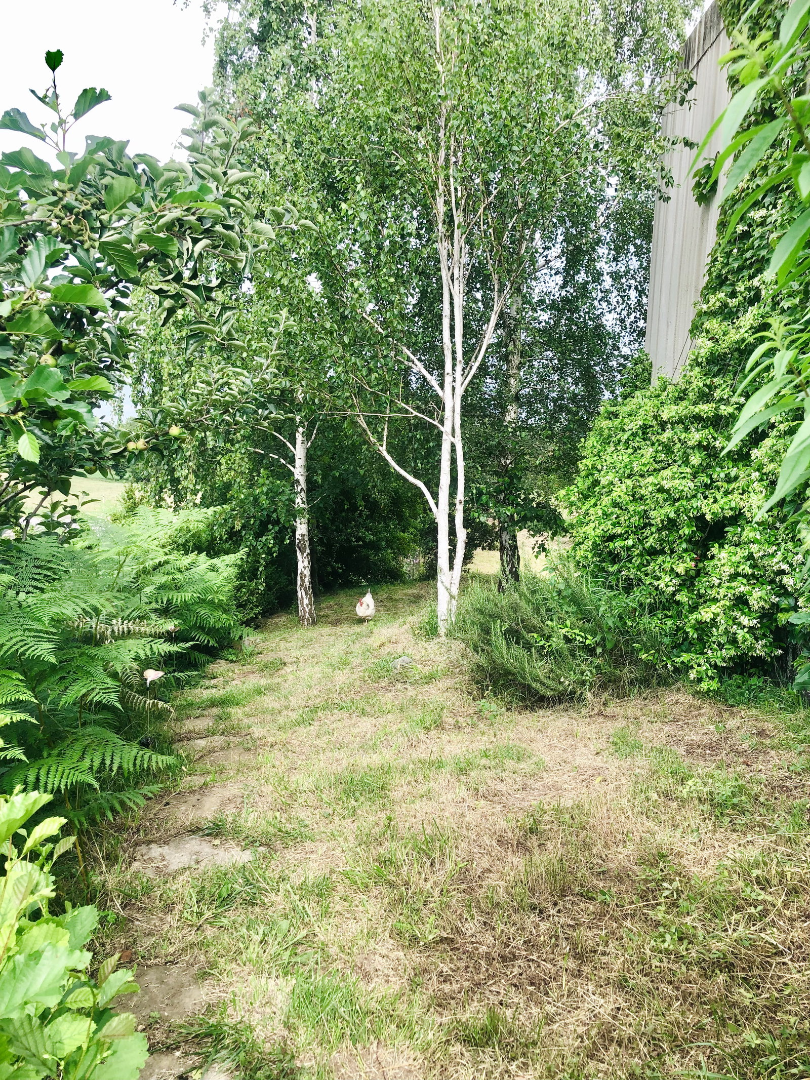 Pokoje Gościnne Cantonigròs 636063