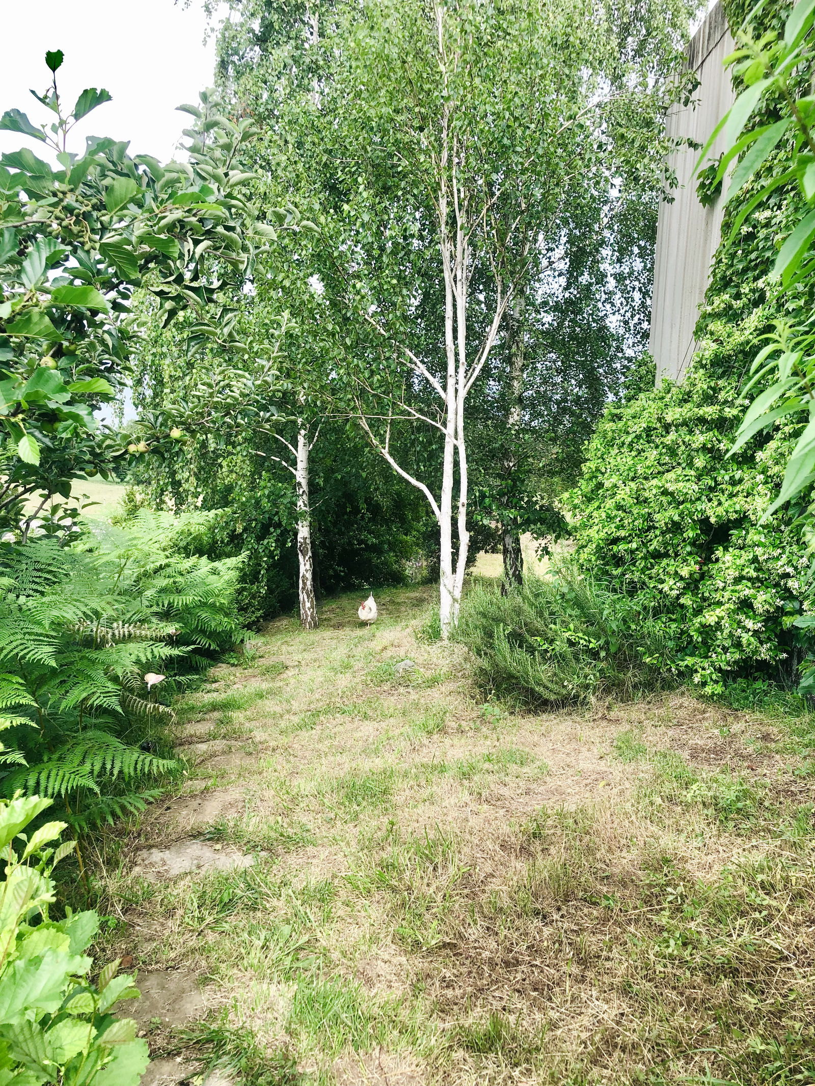 Gästrum Cantonigròs 636063