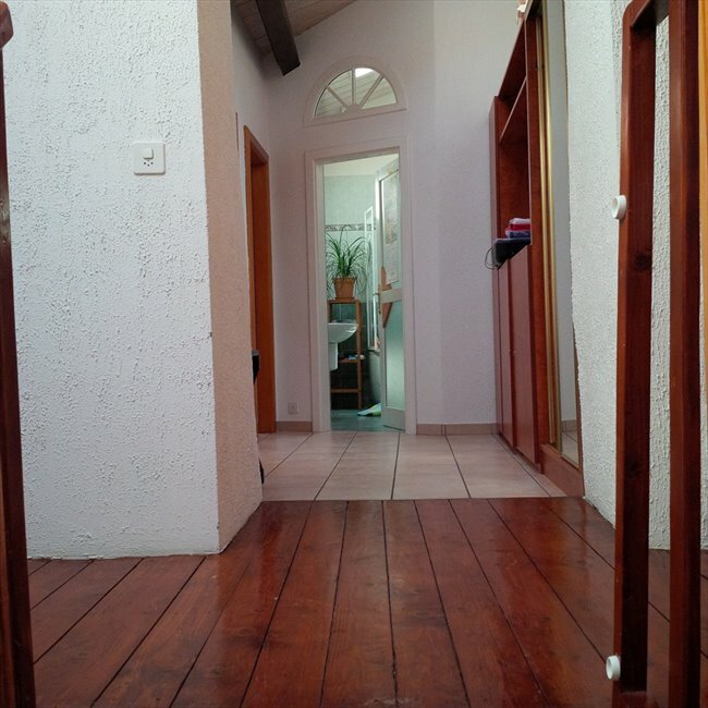 Colocação Puplinge 109114