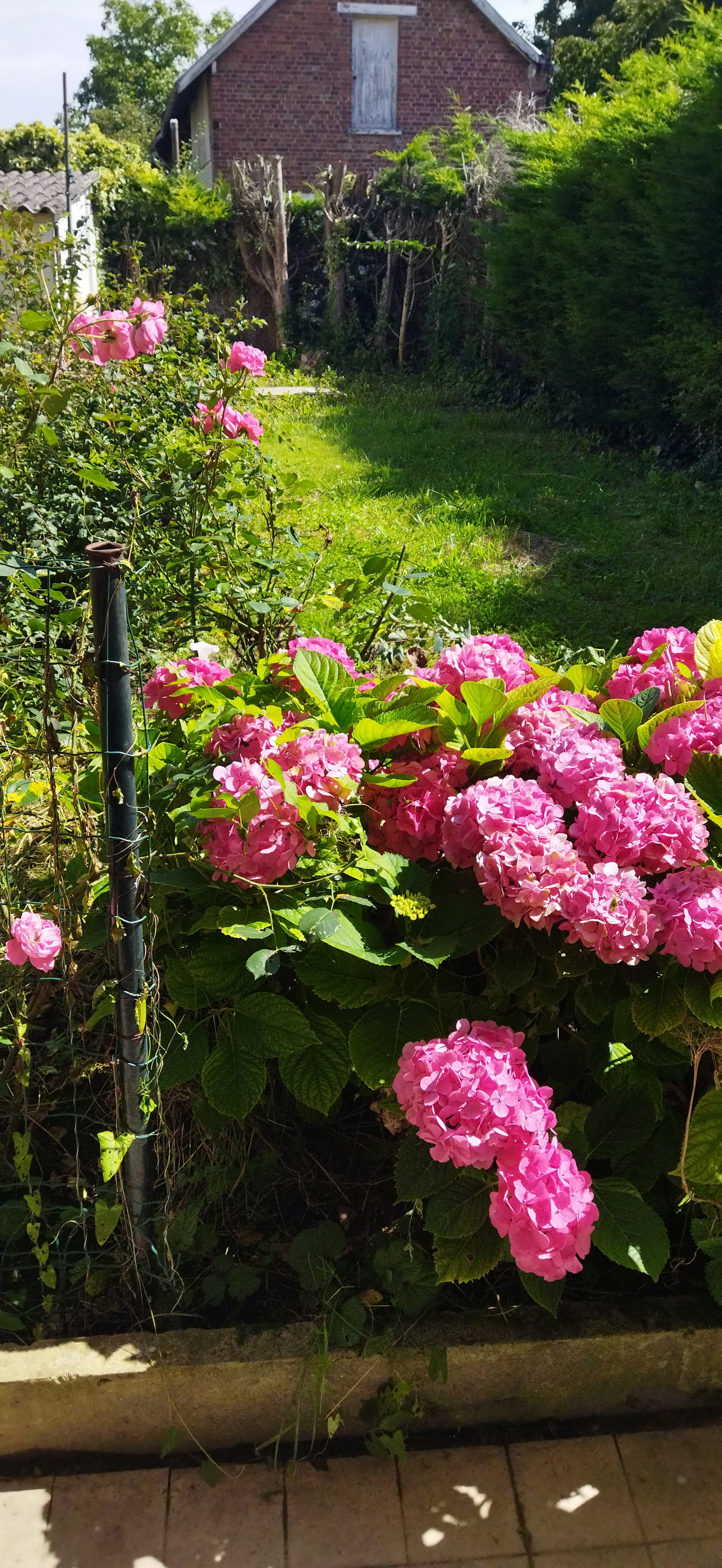 Hela Huset Douai 423943