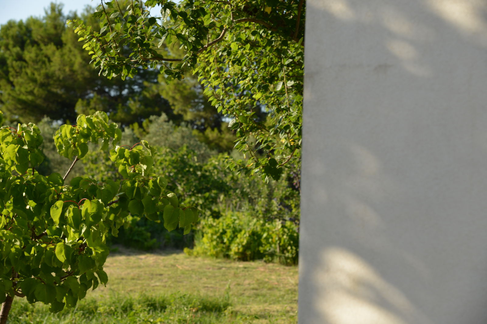 Logement Entier Molinella 174715