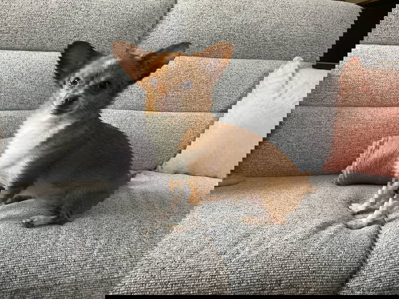 Homestay Treycovagnes 660511-3