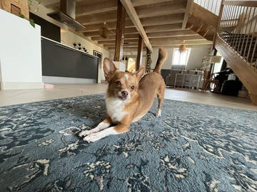 Homestay Treycovagnes 660511-36