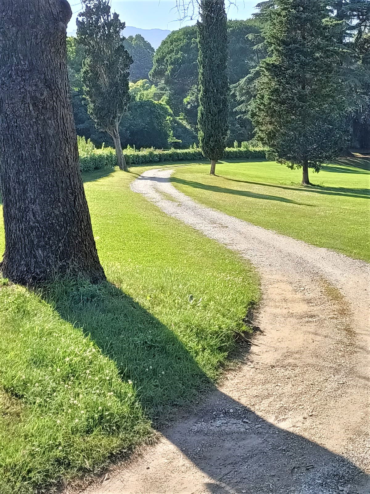 Studio Indépendant Rapallo 268052